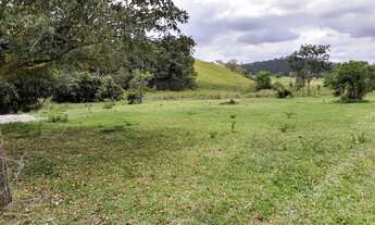 Imagem 3: Lindo terreno para sítio com água corrente de nascente, em ótima localização!