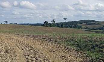 Imagem 4: Fazenda de 63ha, ótima para plantio, com várias nascentes em Otacílio Costa