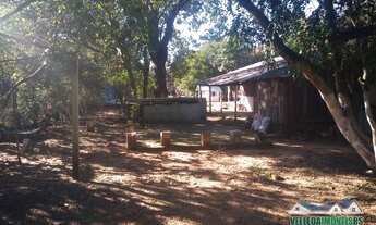 Imagem 5: Lindo sítio 3200 m² com casa, galpão campeiro e piscina em Águas claras