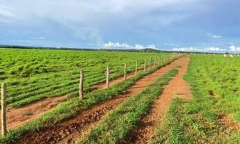 Imagem: 392 alqueires em Nova Crixas-Go