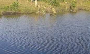 Imagem 5: Fazenda em Almas-TO. 28 mil por alqueire