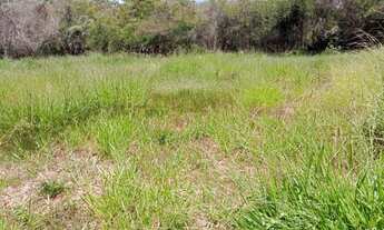 Imagem 6: MATEUS LEME - STA CRUZ