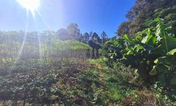 Imagem 7: Linda chácara por volta 7.500,00m², cercada de tela, casa de madeira, fundos no Rio dos Si