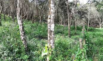 Imagem 5: LOTES ENTRE MULUNGU E GUARAMIRANGA