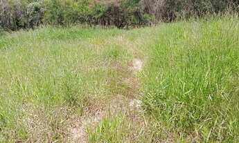 Imagem 4: MATEUS LEME - STA CRUZ