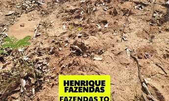 Imagem 4: Fazenda grande dupla aptidão região de Rio Sono Tocantins