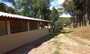 Imagem 7: Chácara em Tijucas do sul