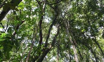 Imagem 5: 113767 - CHÁCARA COM 1,75 HA, FIBRA ÓTICA VERTENTE MATERIAL PARA CONSTRUÇÃO VISTA P/ L..