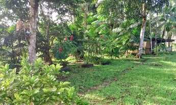 Imagem 5: Sitio rural 300x500m