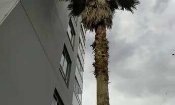 Imagem 2: Apartamento para aluguel, 2 quartos, 1 suíte, 2 vagas, Czerniewicz - Jaraguá do Sul/SC