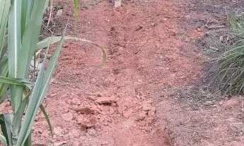 Imagem 3: Terreno - Portal das Alamedas