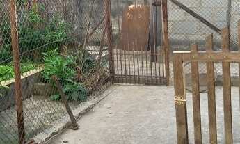 Imagem 4: Excelente casa no tirol