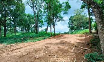 Imagem 2: Condomínio c/ Horta Comunitária: terrenos 1000m2 p/ sua chácara, Marinque SP