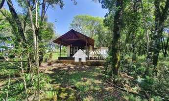 Imagem 3: Chácara em São Salvador