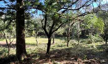 Imagem 4: Sítio Com Açude Em Condomínio Fechado. ROB:326