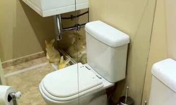 Imagem 5: SÃO PAULO - Apartamento Padrão - PANAMBY