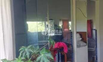 Imagem 5: Sítio sentido Tapuirama