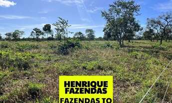Imagem 4: Fazenda sentido aparecida ao lado de soja sendo 20 alqueires Tocantins