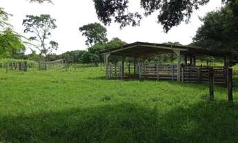 Imagem 4: Saida Pirapora...Fazendinha 15 Alqueires 700.000.00