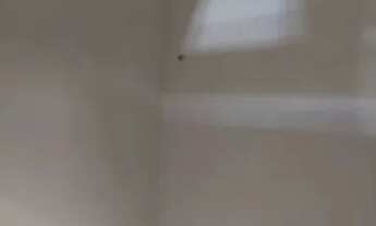 Imagem 7: SÓ VENDA!!! Casa com 2 dormitórios