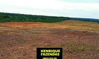 Imagem 6: Fazenda dupla aptidão aberta região de Rio Sono Tocantins