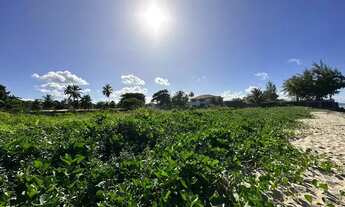 Imagem 3: Vendo Área beira mar em Maria Farinha!