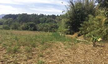 Imagem 3: Vendo ou troco sítio no sul de minas