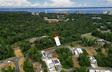 Imagem 3: Lote/Alphaville Manaus 4