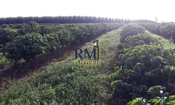 Imagem 2: Fazenda à venda, Zona Rural - Capelinha/MG