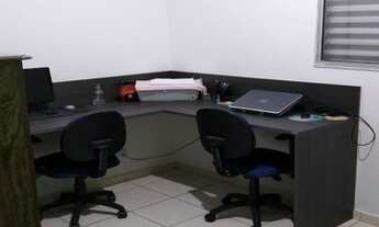 Imagem 7: SÃO JOSÉ DO RIO PRETO - Apartamento Padrão - Parque das Flores