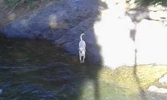 Imagem 7: CASA A VENDA EM ITARIRI