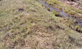 Imagem 2: Chácara em Aurilândia