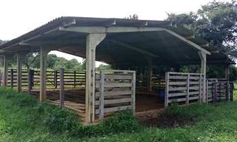 Imagem: Saida Pirapora.Fazendinha 15 Alqueires 700.000.00