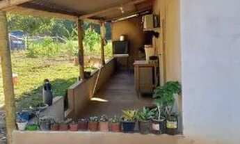 Imagem 3: Vende-se sítio Chácara com venda por R$300.000