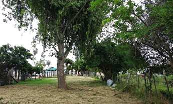 Imagem 2: Lote/Terreno para venda possui 619 metros quadrados em Centro - Santa Vitória do Palmar