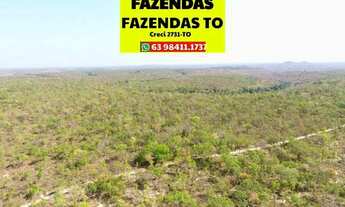Imagem 7: Fazenda grande dupla aptidão região de Rio Sono Tocantins