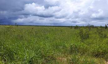 Imagem: Fazenda 8500 hect em tangará da serra MT