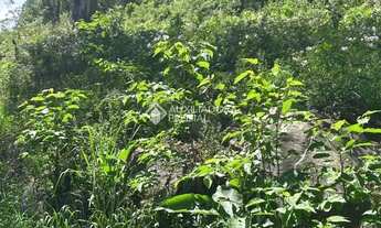 Imagem 4: Loteamento Bosque das Araucárias - Linha Imperial