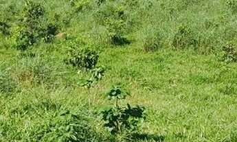 Imagem 4: Uma area de 11.72 hectare equivale a 2/5 alqueire