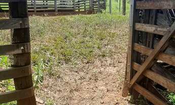 Imagem 4: Fazenda Itumbiara 18 alqueires