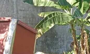 Imagem 2: Vendo Terreno medindo 450 M2 Próx. a AV das Torres!