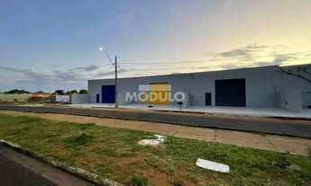 Imagem 3: Galpão novo para locação na zona Sul