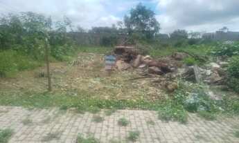 Imagem: TERRENOS EM Pontal das Garças