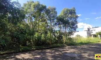 Imagem 4: Terreno para Venda em Nova Petrópolis, Juriti