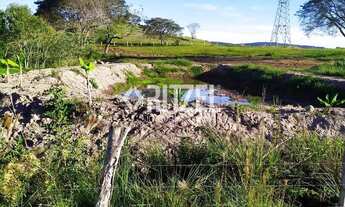 Imagem 4: Fazendinha 4 hectares em Sapiranga - Ent r$ 290 mil - Saldo Direto 24 X