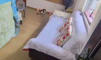 Imagem 4: Apartamento temporada