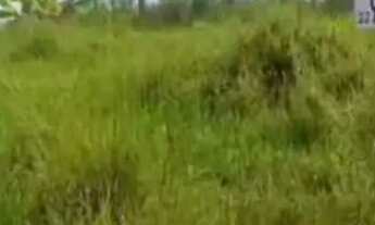 Imagem 3: Terreno 8X20 /40.000 Bairro Valle Verde