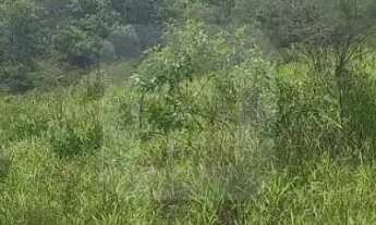 Imagem 6: Área para venda na Represa de Miranda