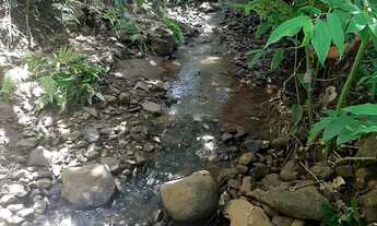 Imagem 2: Fazenda Itumbiara 18 alqueires