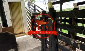 Imagem 5: FAZENDA DE 107 HECTARES (22 ALQ) - FORMOSA GO